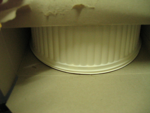 IMG_3521.JPG IMG_3521.JPG