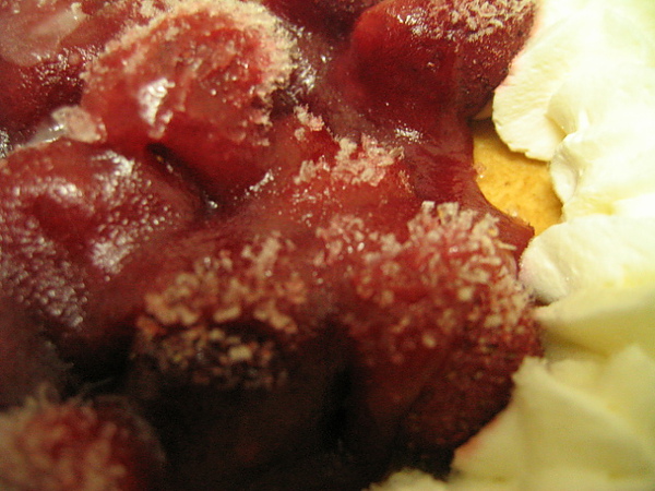 IMG_3518.JPG IMG_3518.JPG