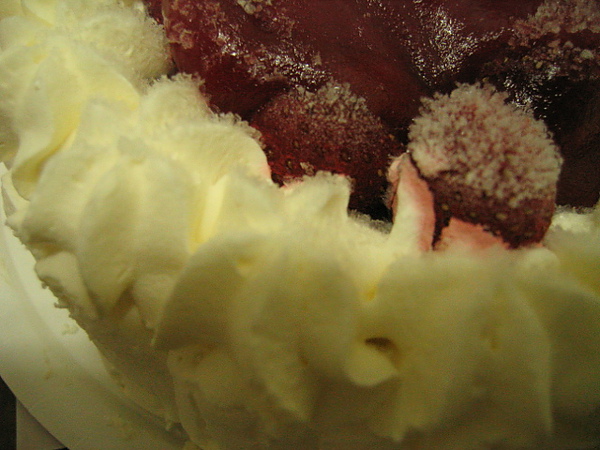 IMG_3519.JPG IMG_3519.JPG