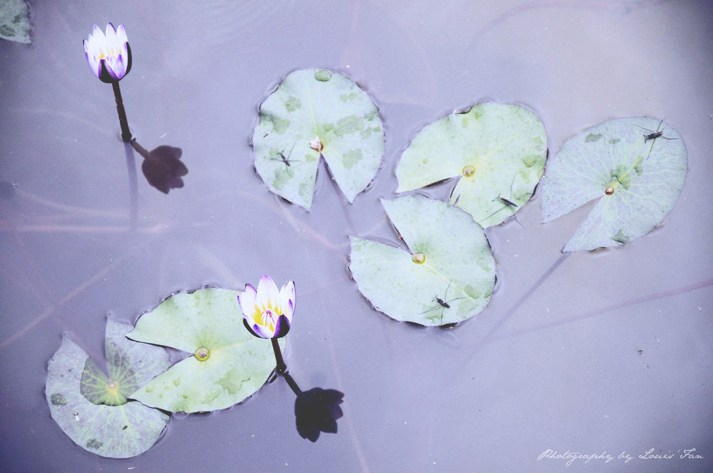 相片 13-4-21 11 54 44