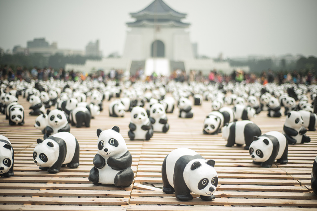 范谷影像設計。DESIGN & CREATIVE PHOTO