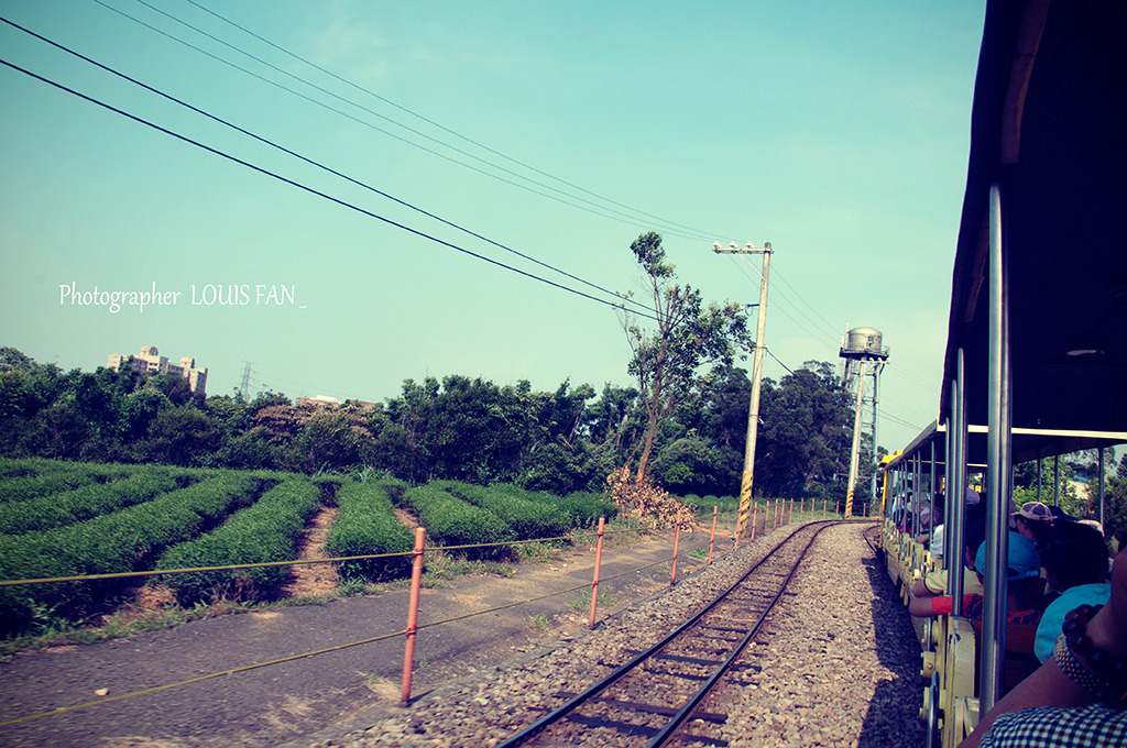 DSC_4182.jpg DSC_4182.jpg