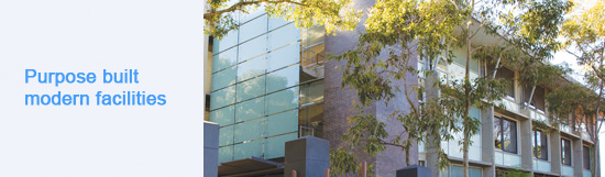 UNSW Institute of Languages11 (1).jpg