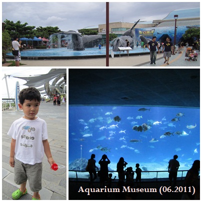 aquarium.jpg aquarium.jpg