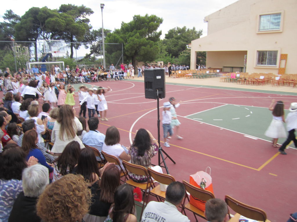 IMG_3310 IMG_3310