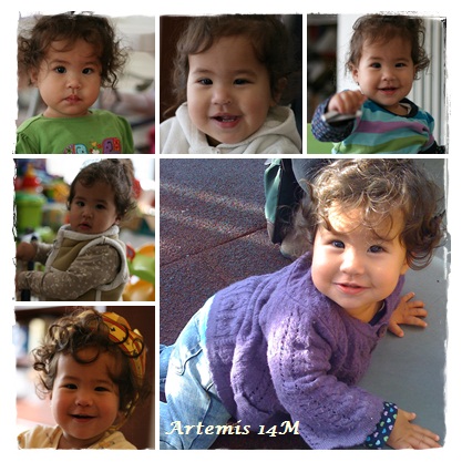 Artemis14M.jpg Artemis14M.jpg