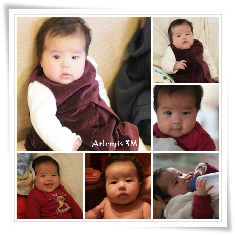 Artemis 3M-1.jpg Artemis 3M-1.jpg