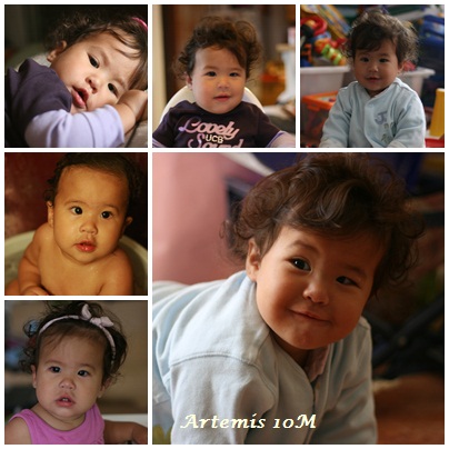 Artemis10M.jpg Artemis10M.jpg
