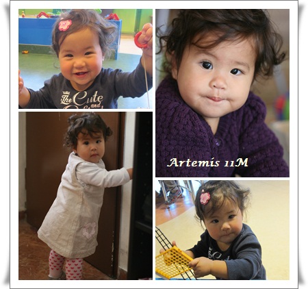 Artemis11M.jpg Artemis11M.jpg