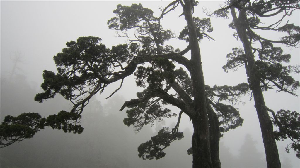 雪山西陵線 080 (2).JPG 雪山西陵線 080 (2).JPG