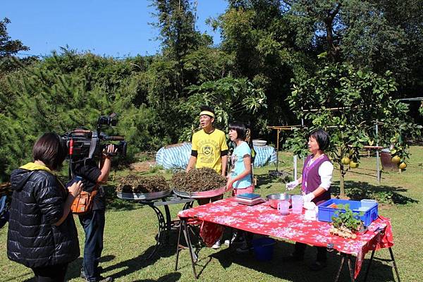 IMG_0092 (2) IMG_0092 (2)