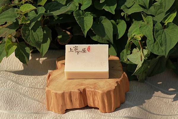 魚腥草B 魚腥草B