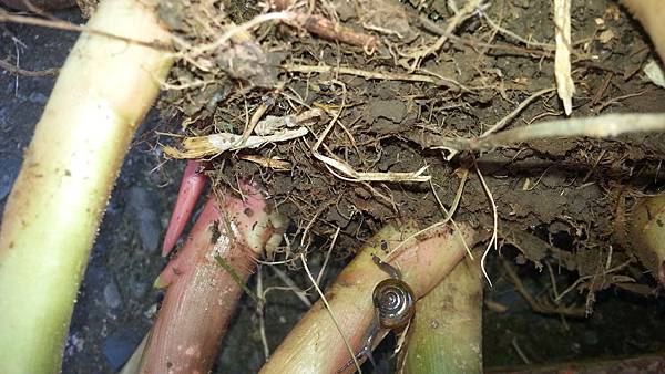 20130906_091541 20130906_091541