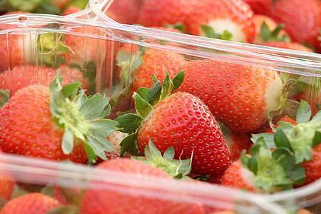 10384523_916051618409137_2400731672346318362_n