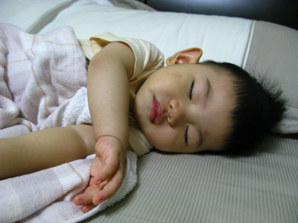 IMG_6035.JPG IMG_6035.JPG