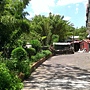 IMAG0867