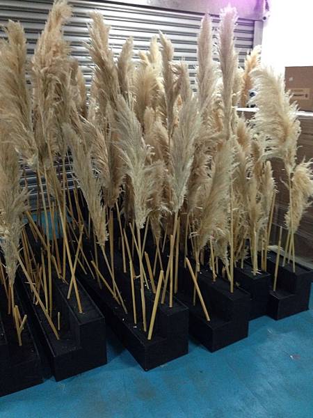 25-011-4.JPG 25-011-4.JPG