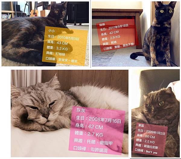 Jam-037-01 Jam-037-01