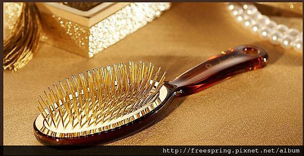 黃金梳_755