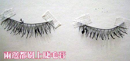 修美人 TWEEZERMAN 眉毛 睫毛梳 小鋼梳