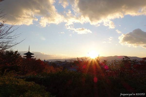 DSC01349_Fotor.jpg DSC01349_Fotor.jpg