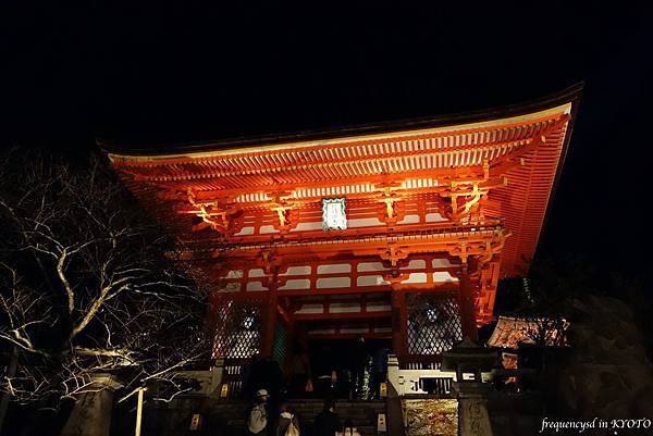 DSC01398_Fotor.jpg DSC01398_Fotor.jpg