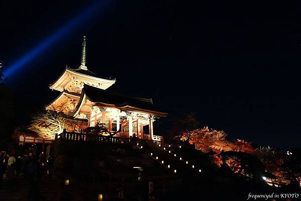 DSC01403_Fotor.jpg DSC01403_Fotor.jpg