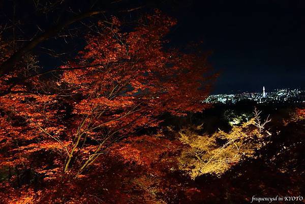 DSC01416_Fotor.jpg DSC01416_Fotor.jpg