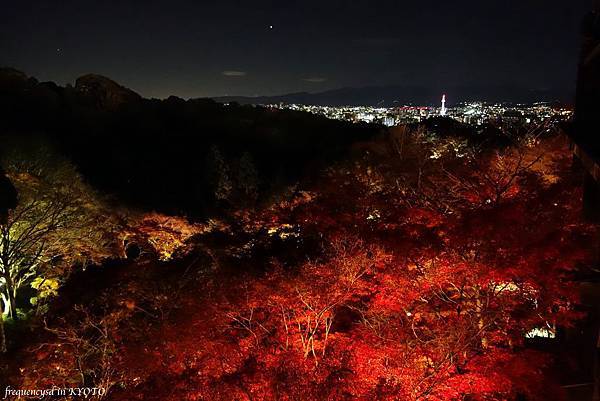 DSC01426_Fotor.jpg DSC01426_Fotor.jpg