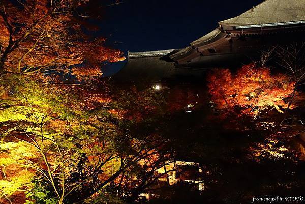 DSC01444_Fotor.jpg DSC01444_Fotor.jpg