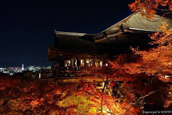 DSC01451_Fotor.jpg DSC01451_Fotor.jpg