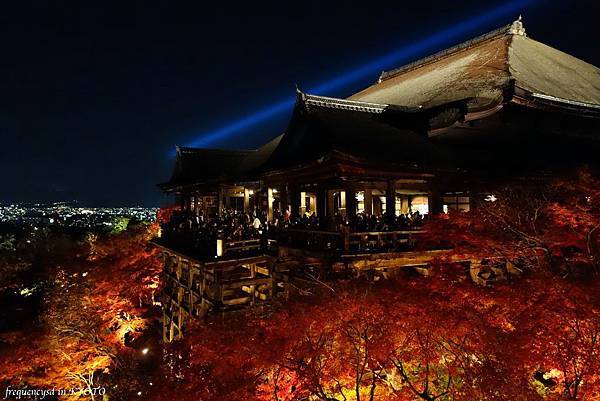 DSC01459_Fotor.jpg DSC01459_Fotor.jpg