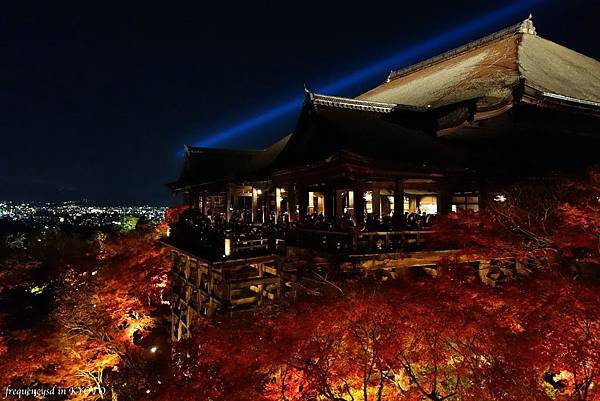 DSC01461_Fotor.jpg DSC01461_Fotor.jpg