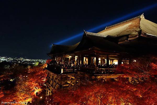 DSC01463_Fotor.jpg DSC01463_Fotor.jpg