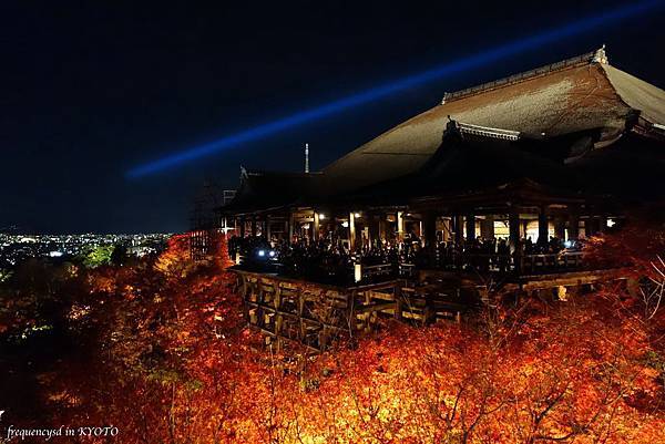 DSC01495_Fotor.jpg DSC01495_Fotor.jpg