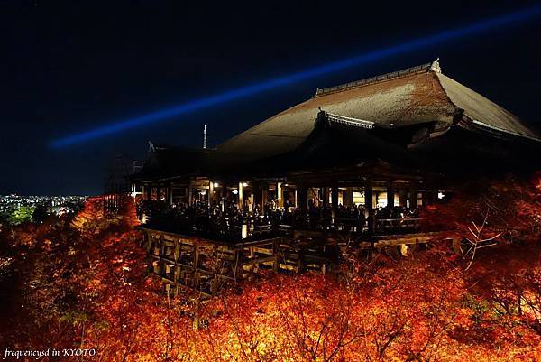 DSC01497_Fotor.jpg DSC01497_Fotor.jpg