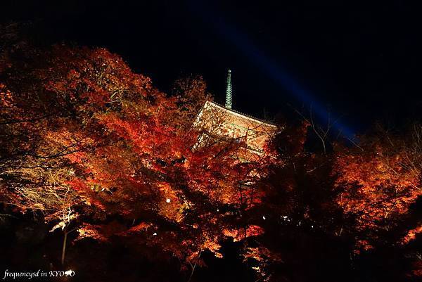 DSC01549_Fotor.jpg DSC01549_Fotor.jpg