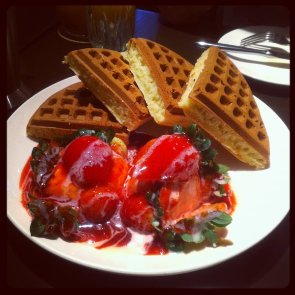 03 waffles.JPG 03 waffles.JPG