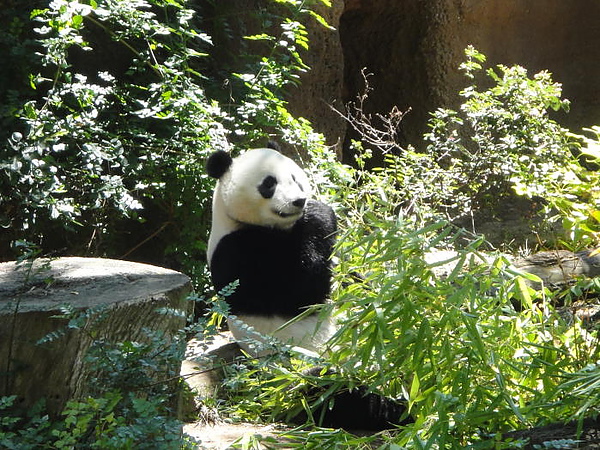 DSC00635.JPG DSC00635.JPG