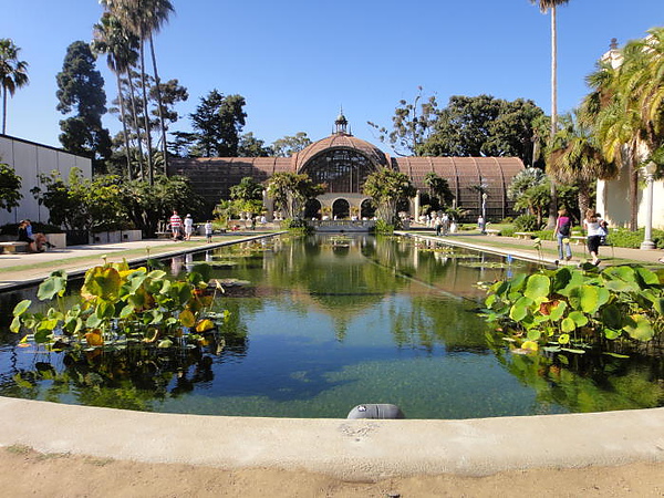 DSC00695.JPG DSC00695.JPG