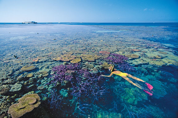 聖靈群島大堡礁 聖靈群島大堡礁