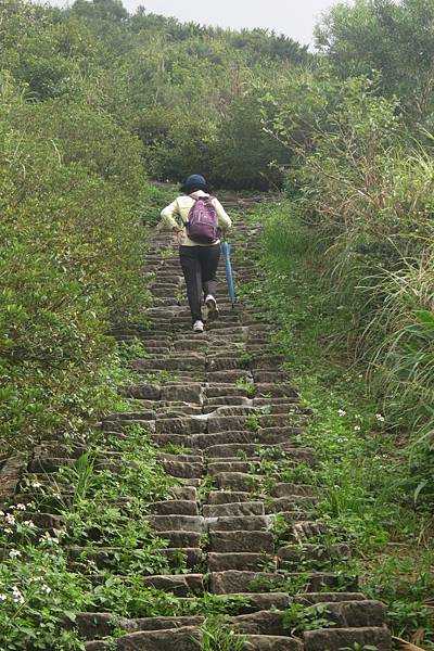 IMG_9509.JPG IMG_9509.JPG