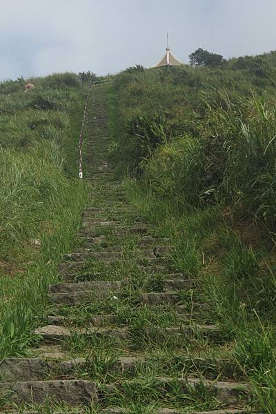 IMG_9517.JPG IMG_9517.JPG