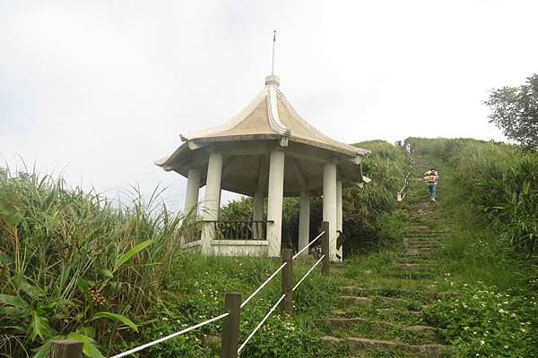 IMG_9521.JPG IMG_9521.JPG