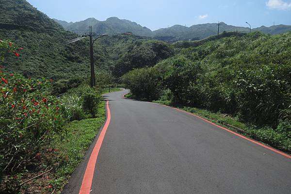 IMG_9546.JPG IMG_9546.JPG