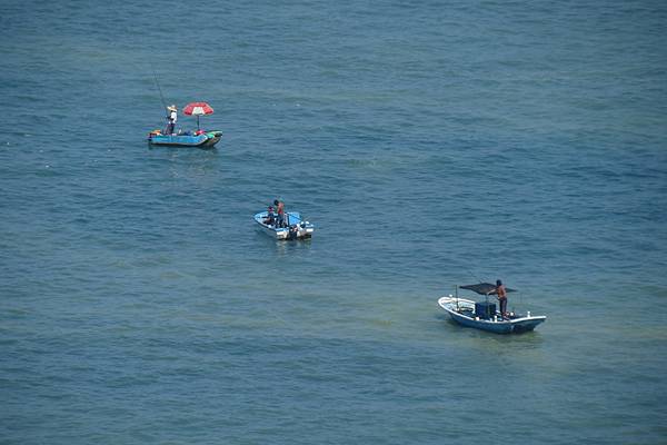 IMG_9560.JPG IMG_9560.JPG