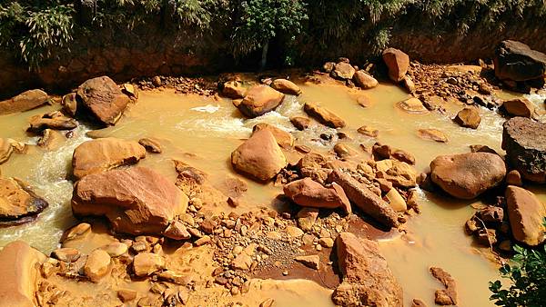 DSC_8092.jpg DSC_8092.jpg