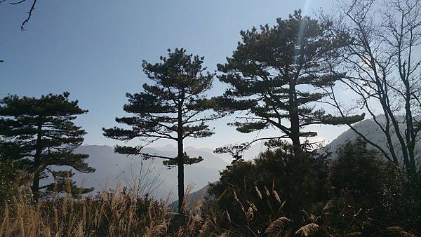 DSC_9079.jpg DSC_9079.jpg