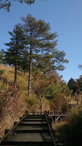 DSC_9088.jpg DSC_9088.jpg