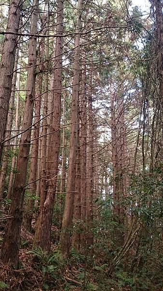 DSC_9103.jpg DSC_9103.jpg